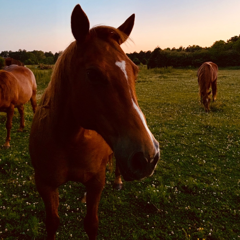 😃Hello there & Welcome...... - Picture 11 of 15